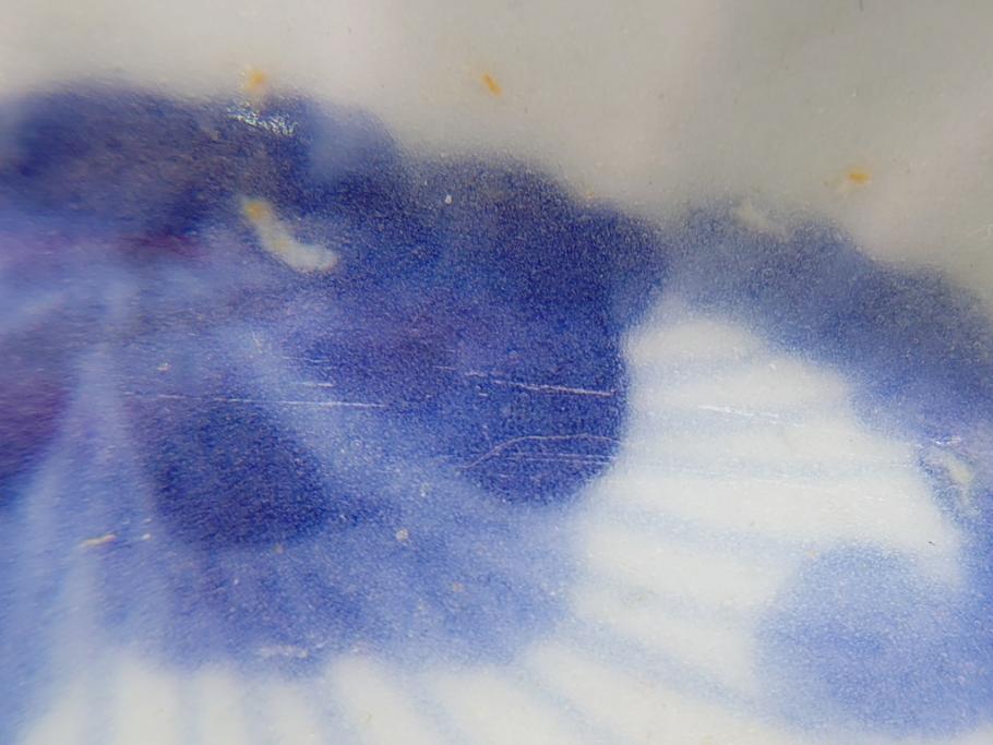 染付　楕円　菊形　花?図　3.6寸皿　約11　上品なフォルムが食卓のアクセントになる小皿5枚セット(三寸六分、和皿、変形皿、和食器)(R-061873)