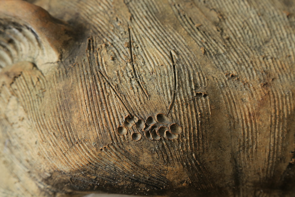時代物　信楽焼　特大144cm　素朴な質感が味わい深い狸の置物(たぬき、タヌキ、オブジェ)(R-075842)