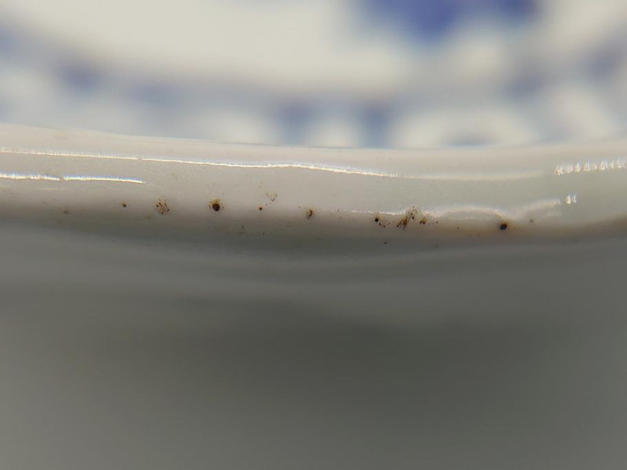 染付　捻文　蝙蝠に牡丹の図　9.4寸皿　約28.5cm　捻じりの模様が印象的な大皿(九寸四分、変形皿、和食器、和皿)(R-061972)