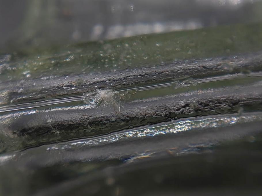 昭和初期　プレスガラス　上品なデザインが魅力のガラス瓶5点セット(バーマカレー、醤油瓶、調味料入れ、硝子)(R-082897)