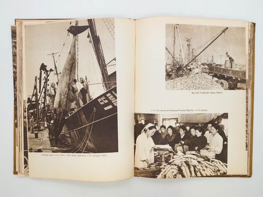 稀少　DEMOCRATIC PEOPLE'S REPUBLIC OF KOREA　1958　北朝鮮　歴史写真集(英字、英語、朝鮮民主主義人民共和国、写真帳、古本)(R-076724)