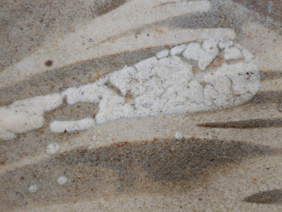 人間国宝　田村耕一　約28cm　9.3寸　深みのある色合いと繊細な絵付けが目を惹くいげ皿(イゲ縁、変形皿、大皿、和皿、和食器、九寸三分)(R-076729)