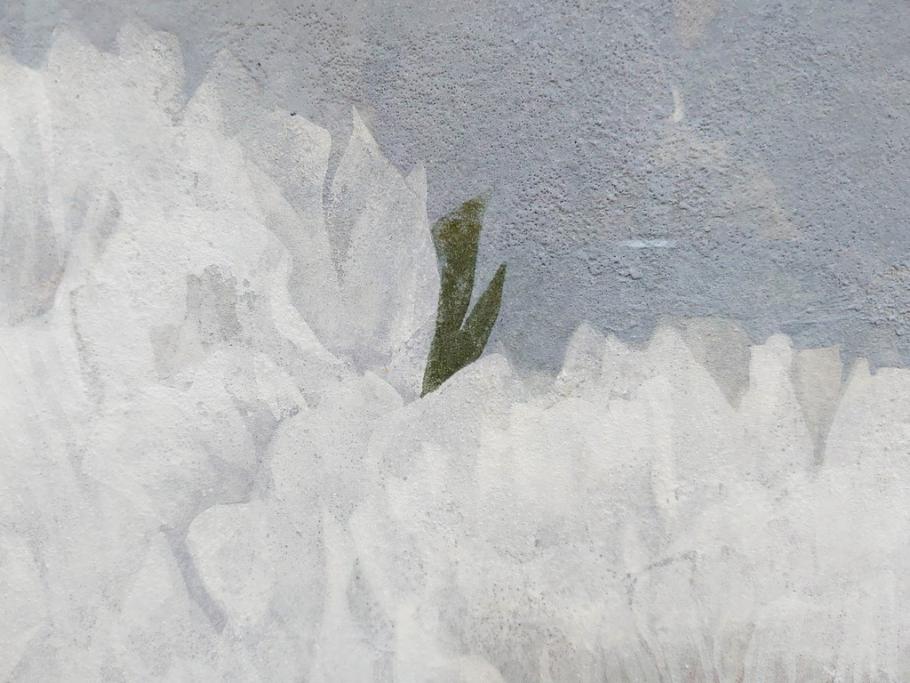 真作　山下邦雄　「牡丹」　6F(6号)　日本画(ぼたん、花、共シール、絵画、額装、箱付き)(R-076743)