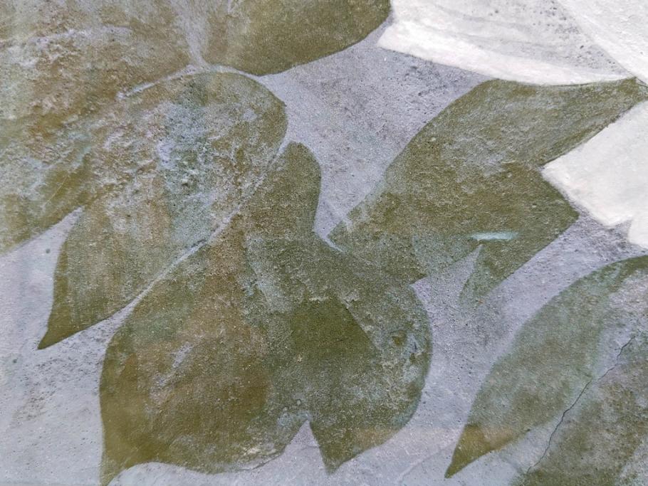 真作　山下邦雄　「牡丹」　6F(6号)　日本画(ぼたん、花、共シール、絵画、額装、箱付き)(R-076743)