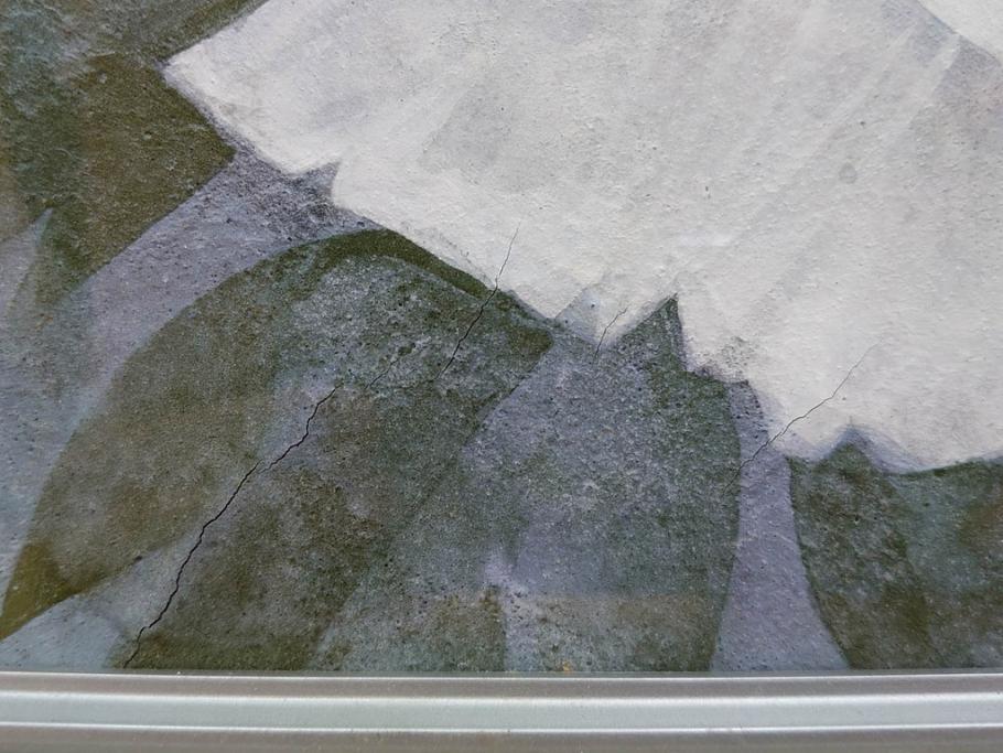真作　山下邦雄　「牡丹」　6F(6号)　日本画(ぼたん、花、共シール、絵画、額装、箱付き)(R-076743)