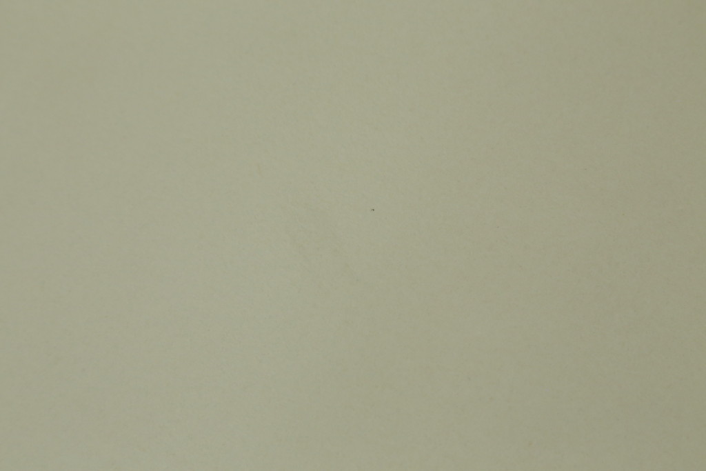中古　短期展示品　Cassinaixc.(カッシーナイクスシー)　IXC. R&D(イクスシー.R&D)　LINE(ライン)　ウルトラスエード(ULTRASUEDE)　Eランク　シンプルですっきりとした佇まいが魅力のダイニングチェア6脚セット(椅子、イス、アームレスチェア、店舗什器)(定価6脚で約46万2千円)(R-069800)