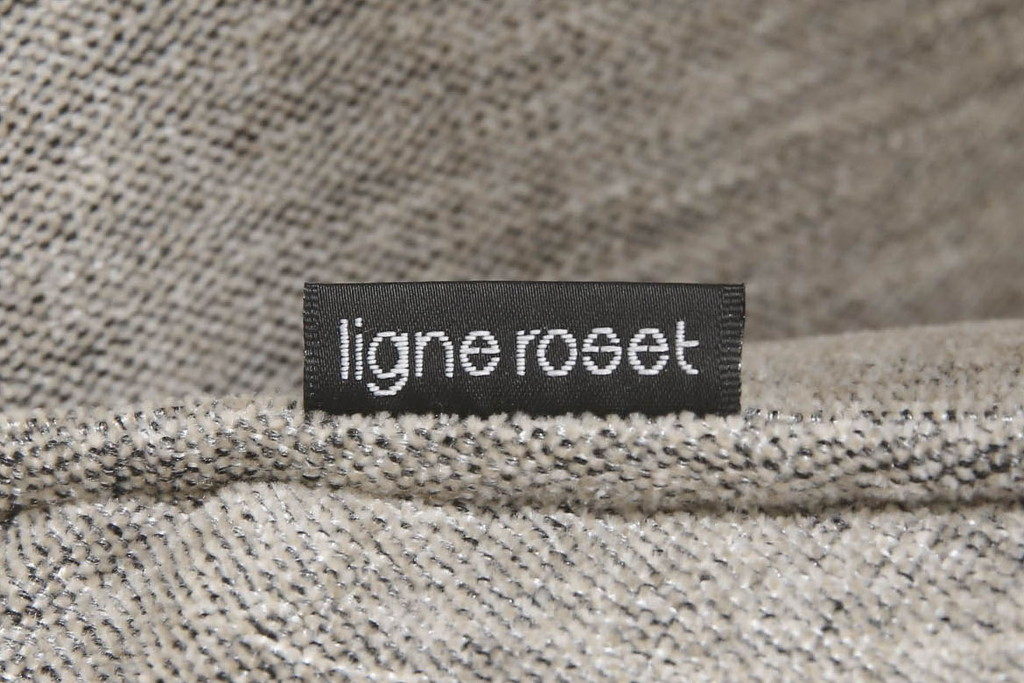 中古　短期使用のため極美品!!　リーン・ロゼ(ligne roset)　ROSETPRADO(ロゼプラド)　2PS　モダンデザインがお洒落な2人掛けソファ(リーンロゼ、二人掛け、デイベッド、ソファベッド)(R-066423)