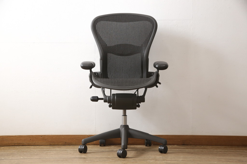 中古　美品　Hermanmiller(ハーマンミラー社)　ランバーサポート　Bサイズ　座り心地を追求したアーロンチェア(オフィスチェア、アームチェア、ワークチェア)(R-058228)