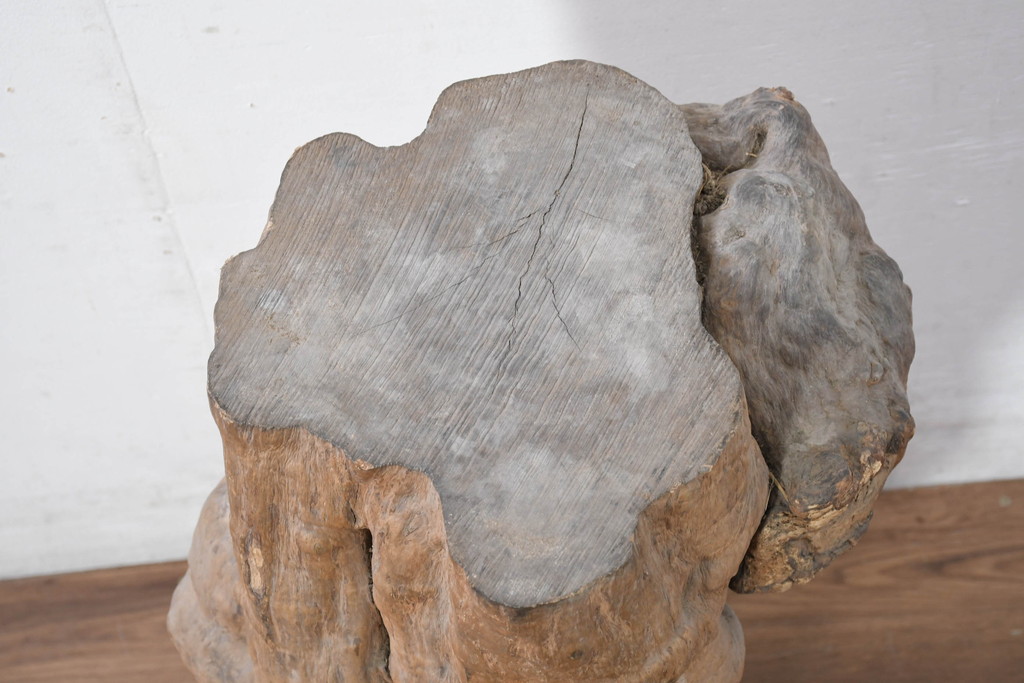 和製アンティーク　こぶ木　自然が彫り出した一点ものの花台(瘤木、こぶぎ、展示台、オブジェ、店舗什器、ディスプレイ)(R-082098)