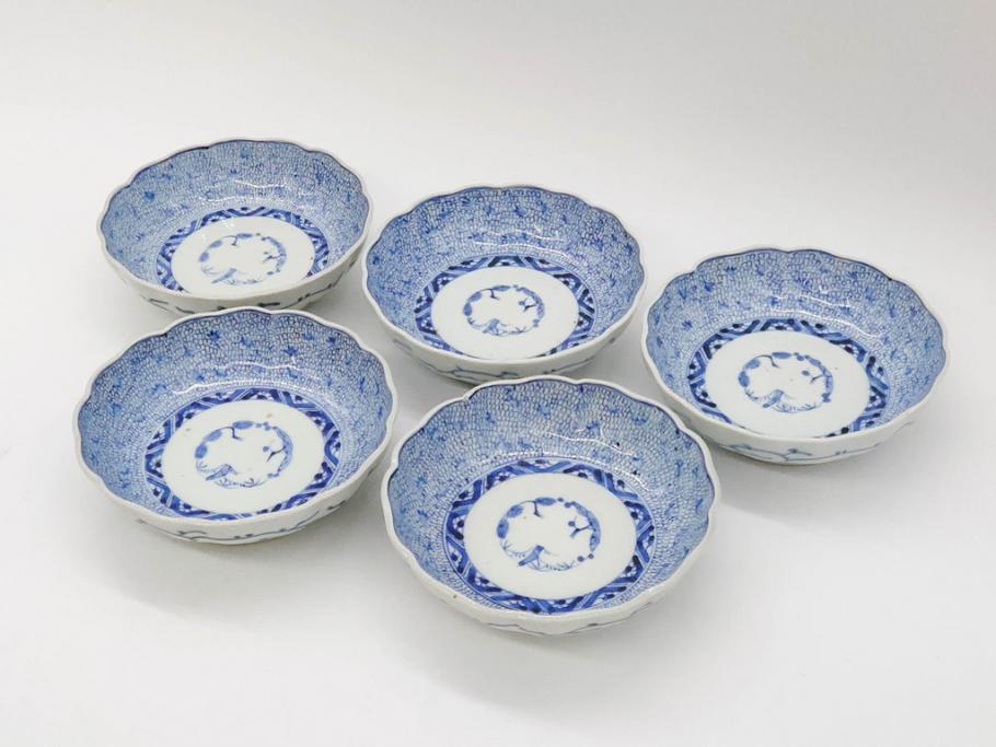 江戸後期　古伊万里　成化年製　微塵唐草文染付　約15cm　5寸　繊細な線描きが見事ななます皿5枚セット(みじんからくさ、中皿、和皿、和食器、五寸)(R-076810)
