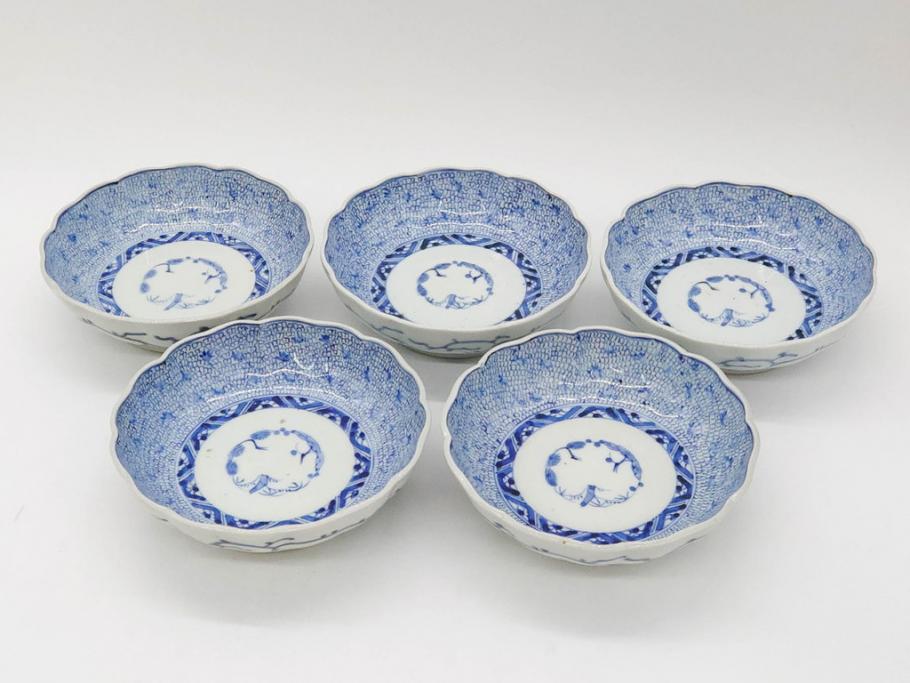 江戸後期　古伊万里　成化年製　微塵唐草文染付　約15cm　5寸　繊細な線描きが見事ななます皿5枚セット(みじんからくさ、中皿、和皿、和食器、五寸)(R-076810)