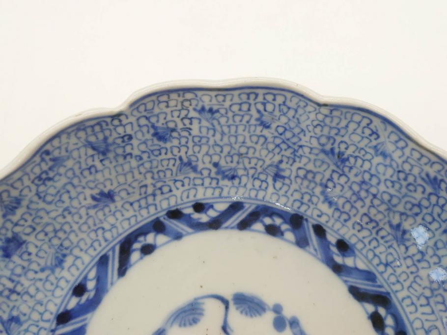 江戸後期　古伊万里　成化年製　微塵唐草文染付　約15cm　5寸　繊細な線描きが見事ななます皿5枚セット(みじんからくさ、中皿、和皿、和食器、五寸)(R-076810)
