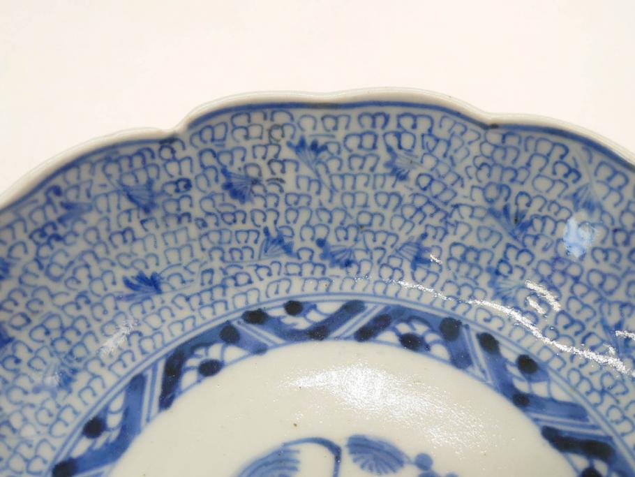 江戸後期　古伊万里　成化年製　微塵唐草文染付　約15cm　5寸　繊細な線描きが見事ななます皿5枚セット(みじんからくさ、中皿、和皿、和食器、五寸)(R-076810)