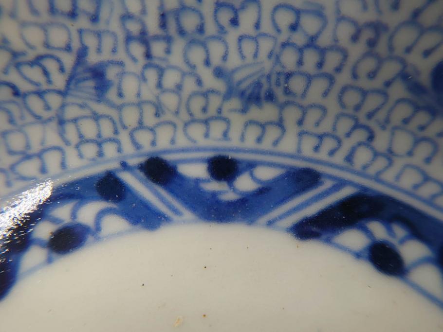 江戸後期　古伊万里　成化年製　微塵唐草文染付　約15cm　5寸　繊細な線描きが見事ななます皿5枚セット(みじんからくさ、中皿、和皿、和食器、五寸)(R-076810)