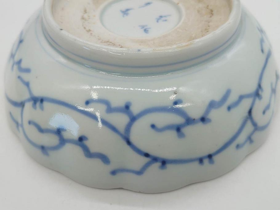 江戸後期　古伊万里　成化年製　微塵唐草文染付　約15cm　5寸　繊細な線描きが見事ななます皿5枚セット(みじんからくさ、中皿、和皿、和食器、五寸)(R-076810)