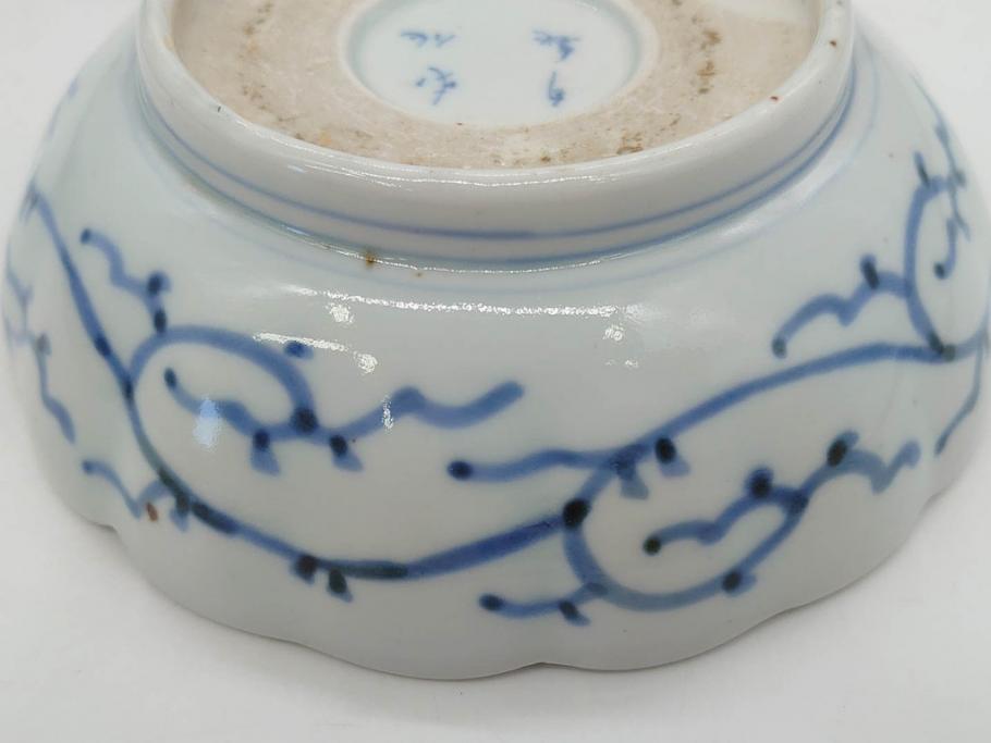 江戸後期　古伊万里　成化年製　微塵唐草文染付　約15cm　5寸　繊細な線描きが見事ななます皿5枚セット(みじんからくさ、中皿、和皿、和食器、五寸)(R-076810)