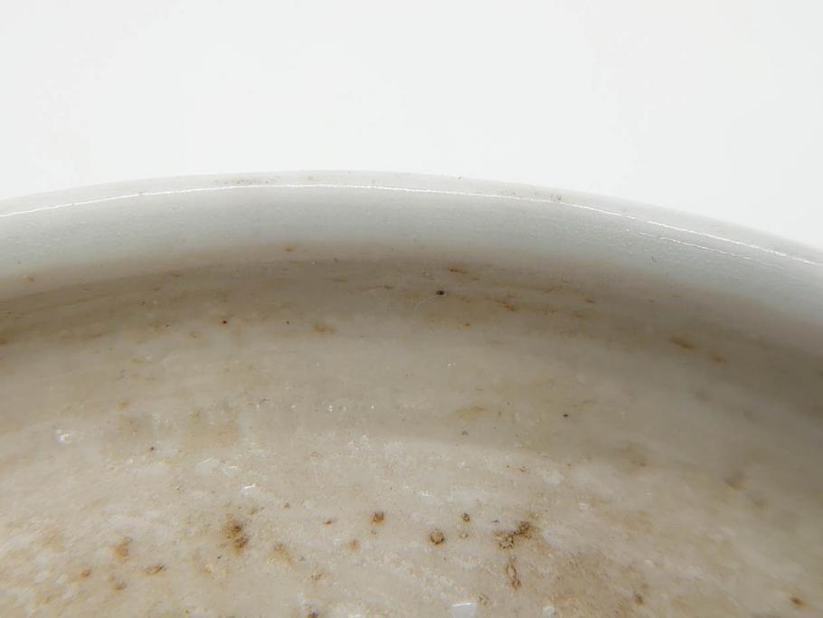 江戸後期　古伊万里　成化年製　微塵唐草文染付　約15cm　5寸　繊細な線描きが見事ななます皿5枚セット(みじんからくさ、中皿、和皿、和食器、五寸)(R-076810)