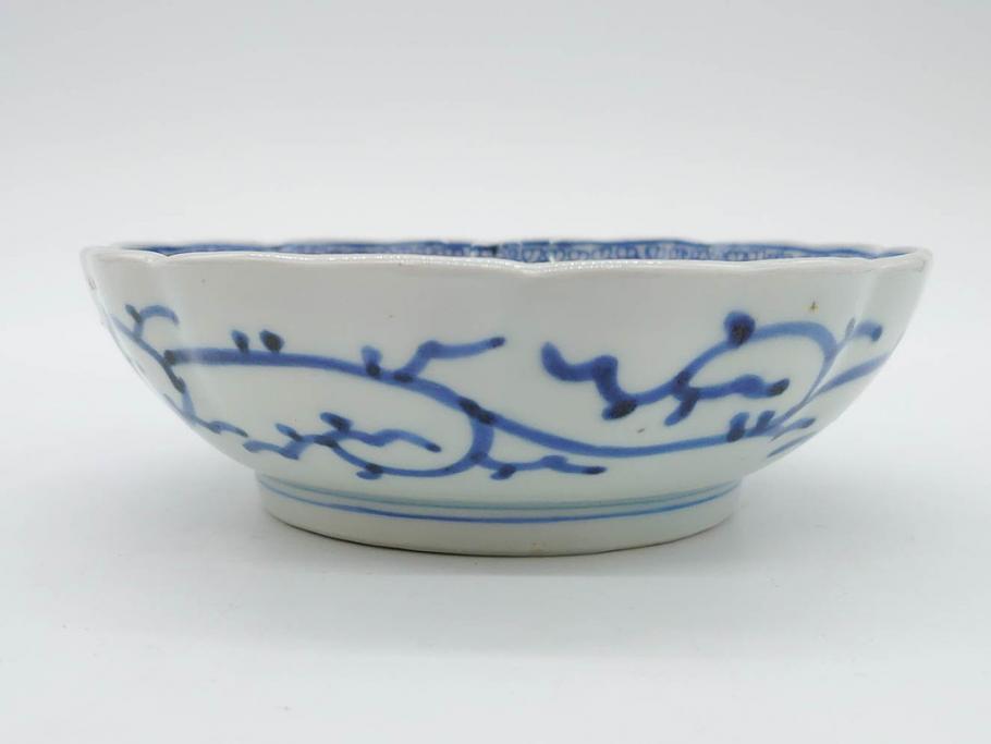 江戸後期　古伊万里　成化年製　微塵唐草文染付　約15cm　5寸　繊細な線描きが見事ななます皿5枚セット(みじんからくさ、中皿、和皿、和食器、五寸)(R-076810)