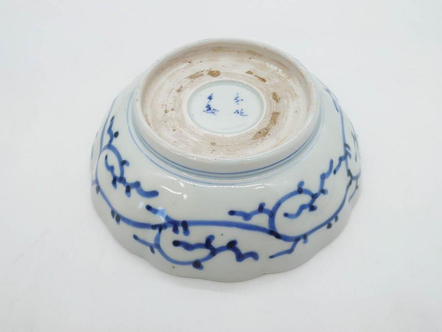 江戸後期　古伊万里　成化年製　微塵唐草文染付　約15cm　5寸　繊細な線描きが見事ななます皿5枚セット(みじんからくさ、中皿、和皿、和食器、五寸)(R-076810)