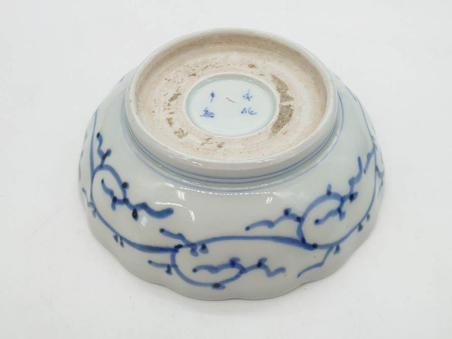江戸後期　古伊万里　成化年製　微塵唐草文染付　約15cm　5寸　繊細な線描きが見事ななます皿5枚セット(みじんからくさ、中皿、和皿、和食器、五寸)(R-076810)