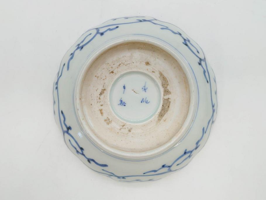 江戸後期　古伊万里　成化年製　微塵唐草文染付　約15cm　5寸　繊細な線描きが見事ななます皿5枚セット(みじんからくさ、中皿、和皿、和食器、五寸)(R-076810)