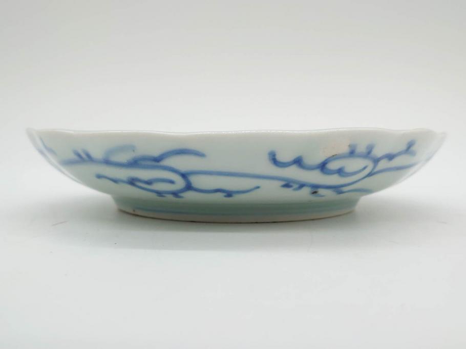 江戸後期　古伊万里　大明成化年製　微塵唐草文染付　約18cm　6寸　繊細な線描きが見事な中皿3枚セット(みじんからくさ、和皿、和食器、六寸)(R-076811)