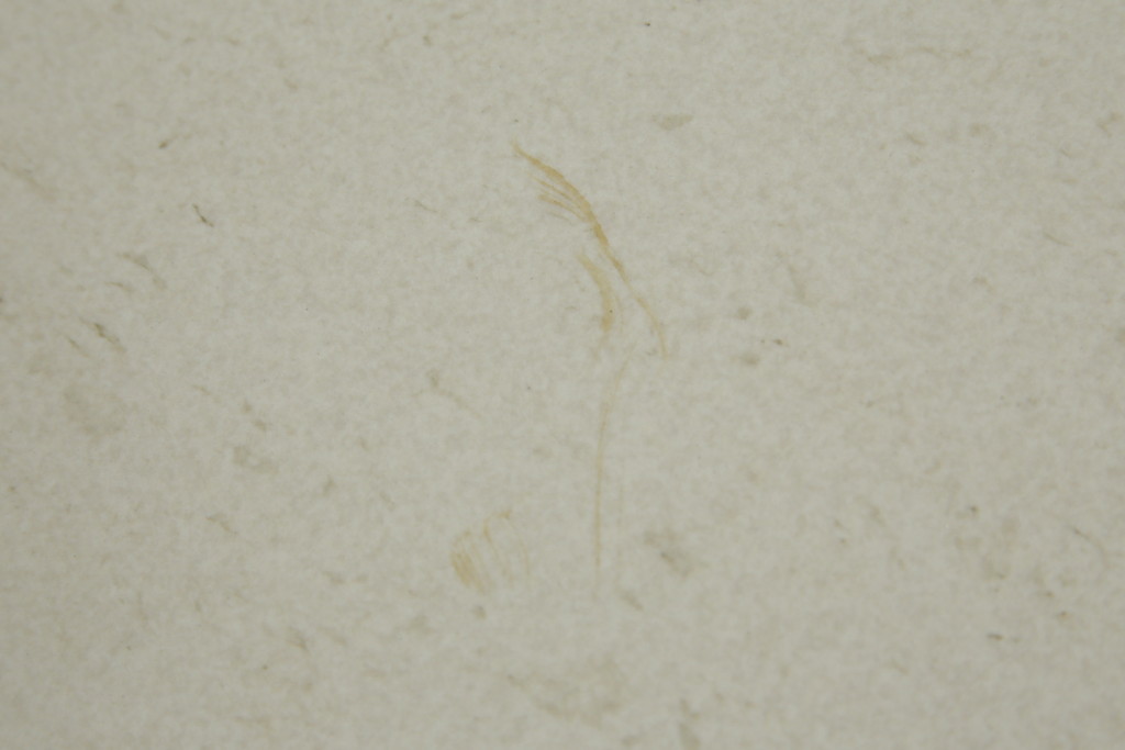 中古　展示品　新品同様品　arflex(アルフレックス)　Patrick Norguet(パトリック・ノルゲ)デザイン　IENA(イエナ)　DEKTON(デクトン)　無駄のない洗練されたデザインが素敵なダイニングテーブル(食卓、6人掛け、作業台、ミーティングテーブル、会議テーブル、打ち合わせテーブル)(定価約123万円)(R-079576)