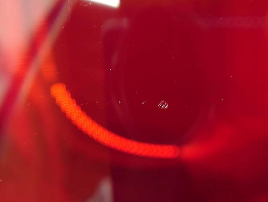 イギリス　ROYAL DOULTON(ロイヤルドルトン)　ジュリアン・マクドナルド(JM)　鮮やかな赤色が目を惹くイグナイトタンブラー5客セット(グラス、洋食器)(R-070261)