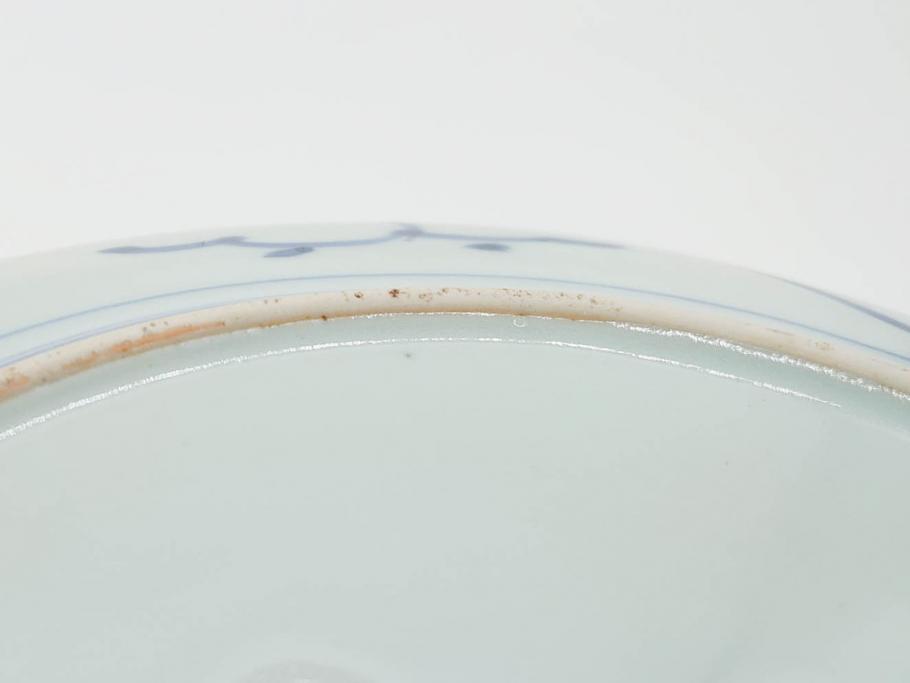 江戸期 古伊万里 染付 栗図 7.4寸 約23cm 藍色の濃淡が魅力的な