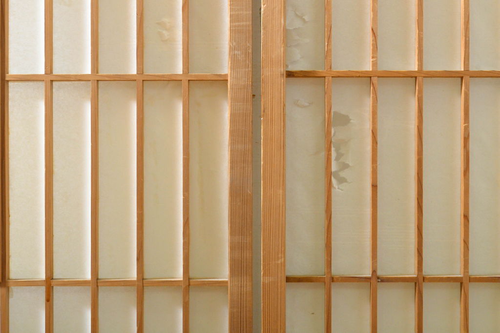 アンティーク建具　凛とした佇まいが気品溢れる障子戸2枚セット(引き戸、建具)(R-063011)