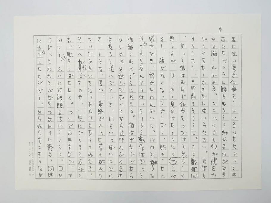 特別限定愛蔵版　開高健　「夏の闇」　原寸408枚　直筆原稿(2008年、開高記念会、直筆、二重箱付)(R-077004)