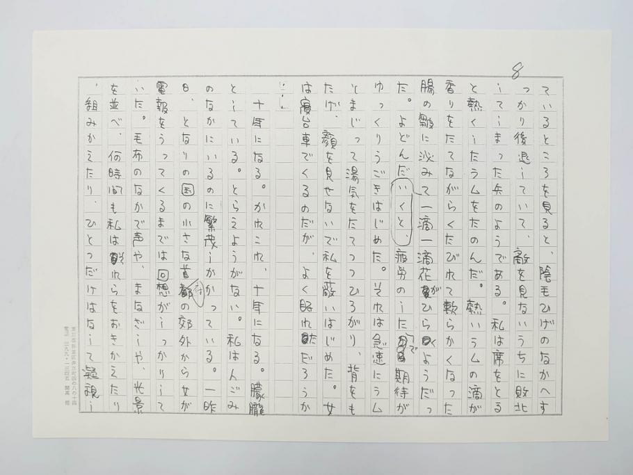 特別限定愛蔵版　開高健　「夏の闇」　原寸408枚　直筆原稿(2008年、開高記念会、直筆、二重箱付)(R-077004)