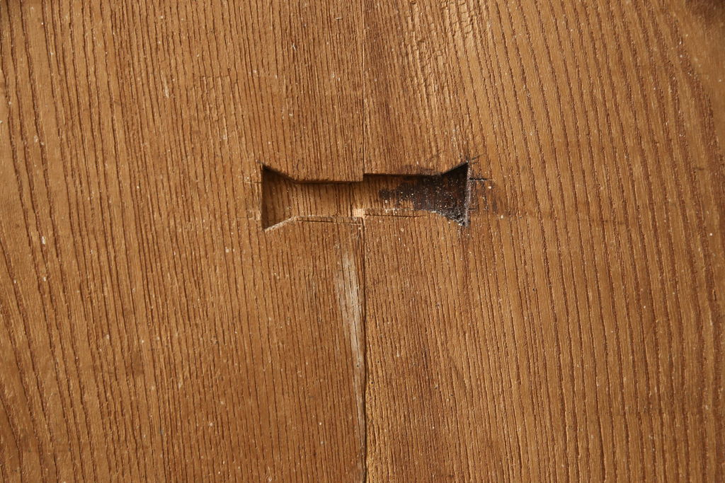 アンティーク建具　彫刻の意匠が珍しい!迫力のある亀の彫りに魅了される引き戸1枚(蔵戸、玄関戸)(R-062542)
