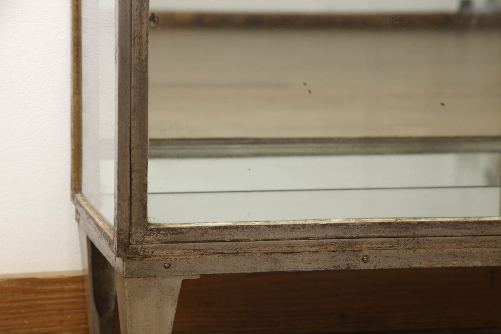 フランスアンティーク　インダストリアル　メタルフレームが無骨でかっこいいガラスケース(ショーケース、収納棚、飾り棚、キャビネット)(R-052731)