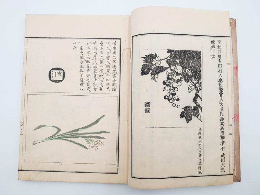 明治27年　増補　谷文晁本朝画纂大全　4冊揃(彩色木版画、古書、和本)(R-083690)　