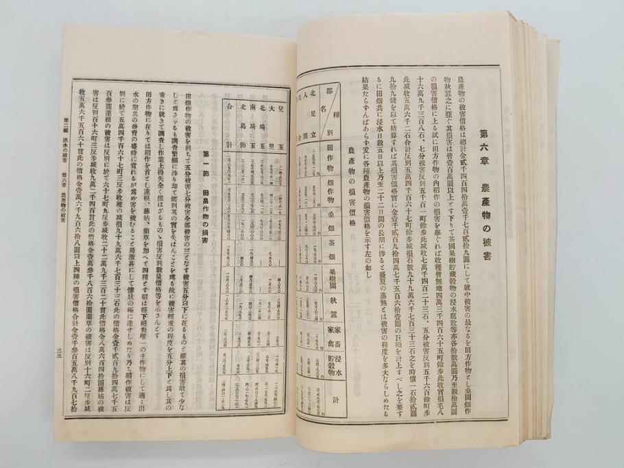 大正元年　「埼玉県水害誌」　洪水氾濫之図付き(埼玉県庁、災害、地誌、和書、古書、古本、古文書、古地図、附図)(R-077218)