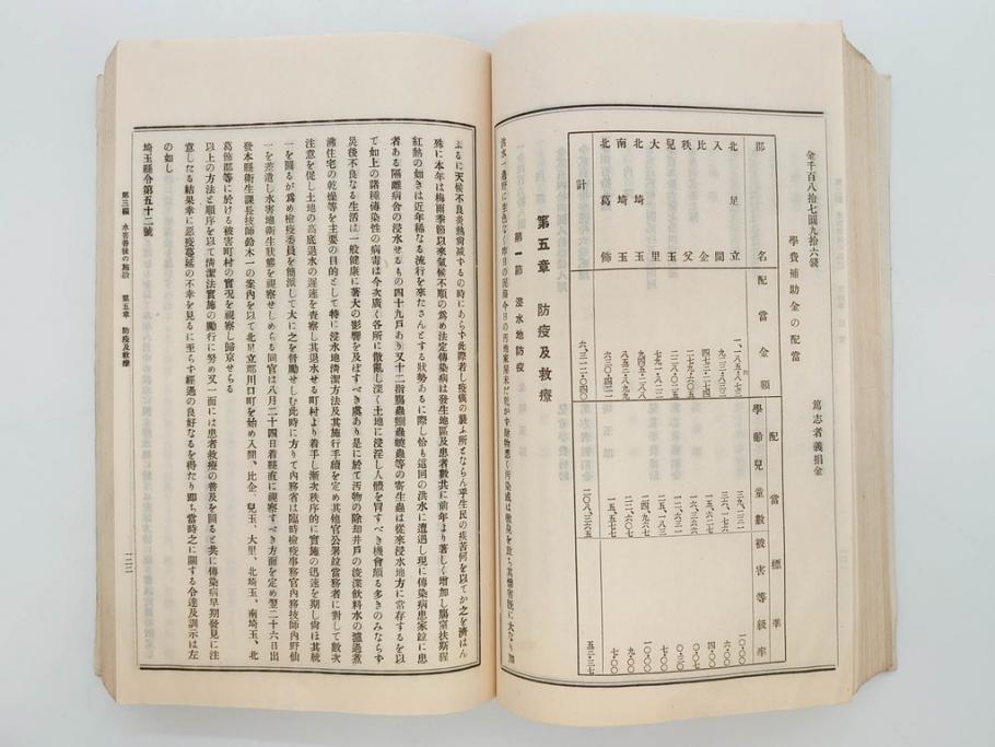 大正元年　「埼玉県水害誌」　洪水氾濫之図付き(埼玉県庁、災害、地誌、和書、古書、古本、古文書、古地図、附図)(R-077218)