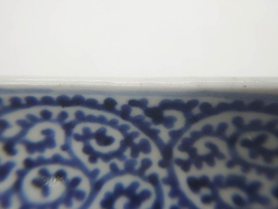 江戸期　古伊万里　染付　富貴長春　約21.5cm　7.1寸　牡丹蛸唐草文　細やかで力強く描かれた文様が魅力的な長皿(七寸一分、和食器、和皿)(R-077134)