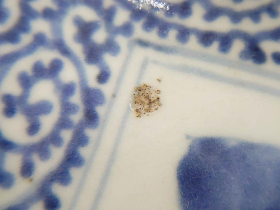 江戸期　古伊万里　染付　富貴長春　約21.5cm　7.1寸　牡丹蛸唐草文　細やかで力強く描かれた文様が魅力的な長皿(七寸一分、和食器、和皿)(R-077134)