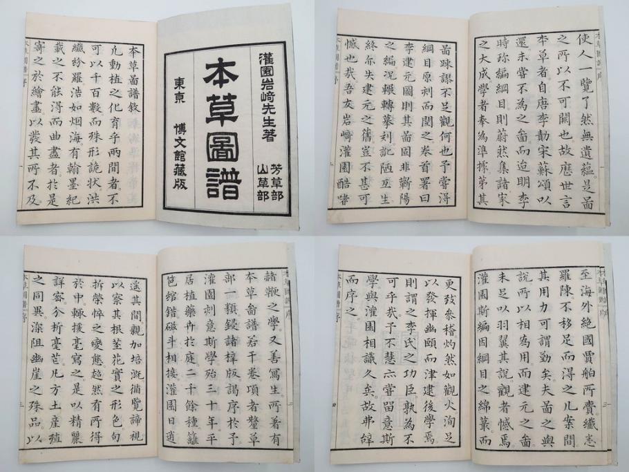 明治36年　「本草図譜」　山草部・芳草部　6冊揃(岩崎灌園、博文館、植物、図鑑、木版画、和本)(R-083904)