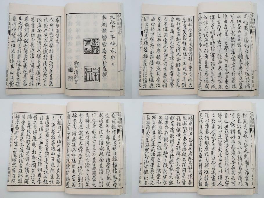 明治36年　「本草図譜」　山草部・芳草部　6冊揃(岩崎灌園、博文館、植物、図鑑、木版画、和本)(R-083904)