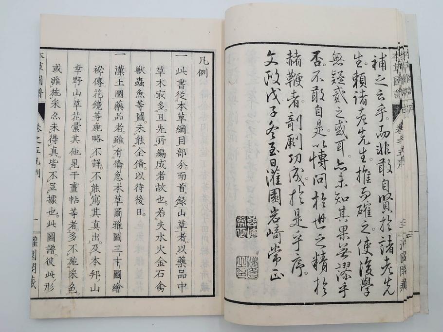 明治36年　「本草図譜」　山草部・芳草部　6冊揃(岩崎灌園、博文館、植物、図鑑、木版画、和本)(R-083904)