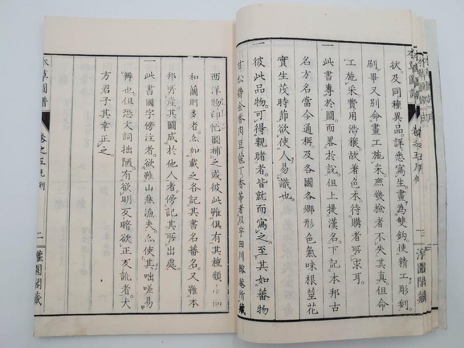 明治36年　「本草図譜」　山草部・芳草部　6冊揃(岩崎灌園、博文館、植物、図鑑、木版画、和本)(R-083904)