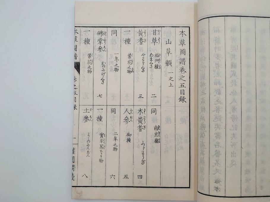 明治36年　「本草図譜」　山草部・芳草部　6冊揃(岩崎灌園、博文館、植物、図鑑、木版画、和本)(R-083904)