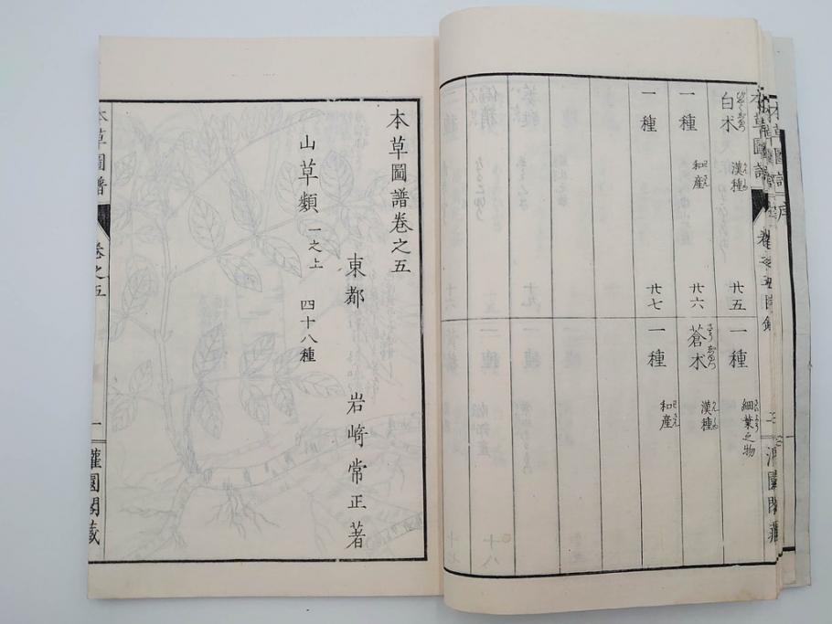 明治36年　「本草図譜」　山草部・芳草部　6冊揃(岩崎灌園、博文館、植物、図鑑、木版画、和本)(R-083904)