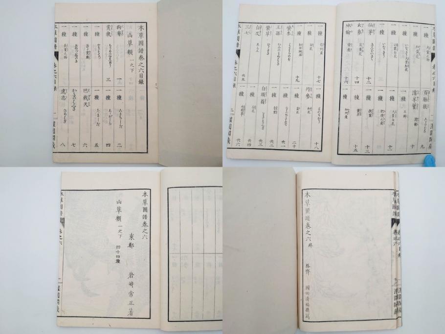明治36年　「本草図譜」　山草部・芳草部　6冊揃(岩崎灌園、博文館、植物、図鑑、木版画、和本)(R-083904)