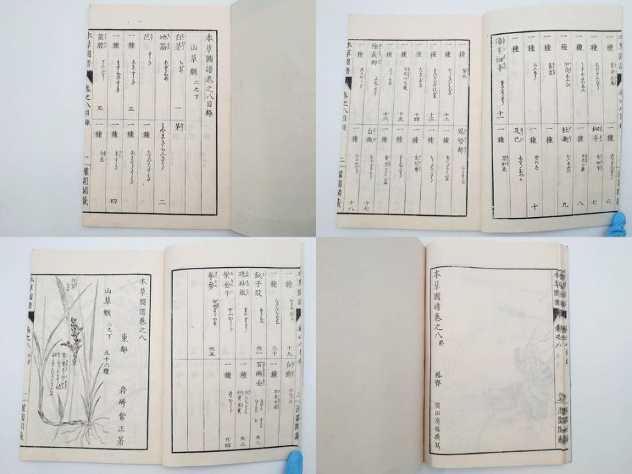 明治36年　「本草図譜」　山草部・芳草部　6冊揃(岩崎灌園、博文館、植物、図鑑、木版画、和本)(R-083904)