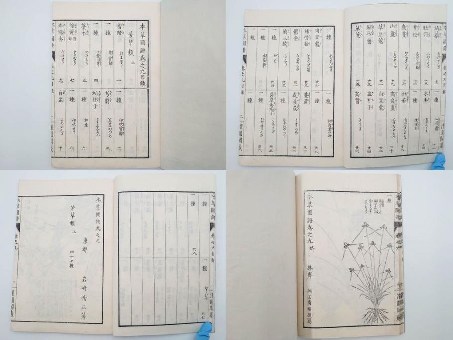 明治36年　「本草図譜」　山草部・芳草部　6冊揃(岩崎灌園、博文館、植物、図鑑、木版画、和本)(R-083904)