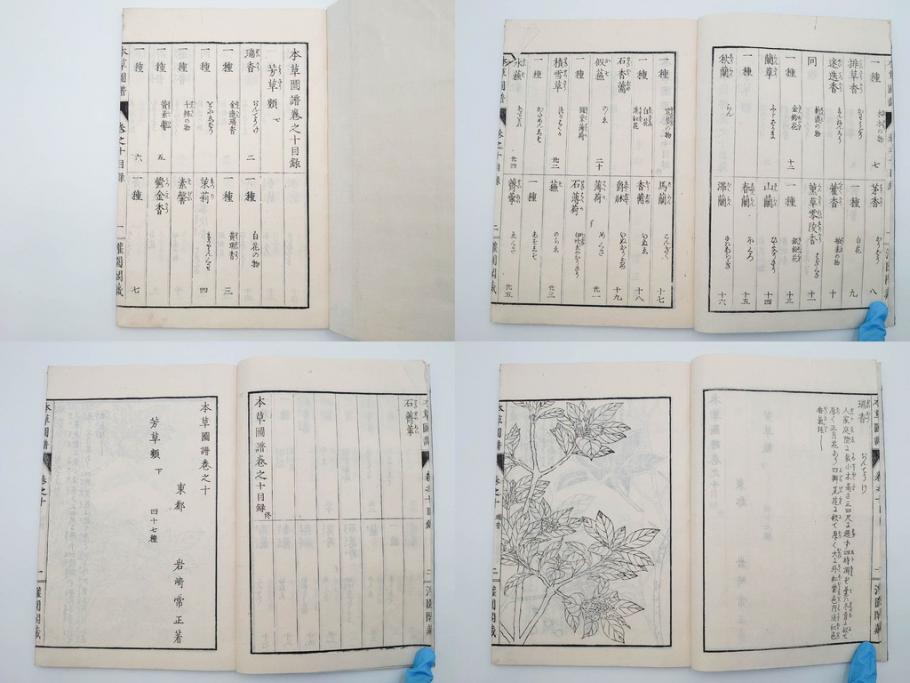 明治36年　「本草図譜」　山草部・芳草部　6冊揃(岩崎灌園、博文館、植物、図鑑、木版画、和本)(R-083904)