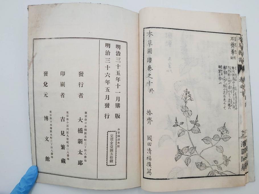 明治36年　「本草図譜」　山草部・芳草部　6冊揃(岩崎灌園、博文館、植物、図鑑、木版画、和本)(R-083904)